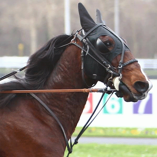 Bugsy Malone. Foto Le Trot