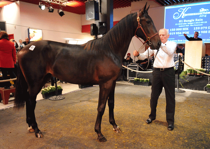 Bungle Rain . pris 1.25 SEK