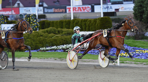 Caddie Lisieux med Kenneth Haugstad vandt Vårfavoritten i 1.14.0a/2140 m. Foto Kanal 75