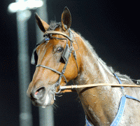 Ceasar Sisu. fot Kanal 75