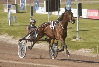 Call me Keeper - nu med Bazire og eneste svenske hest i Prix de Bourgogne Foto Kanal 75