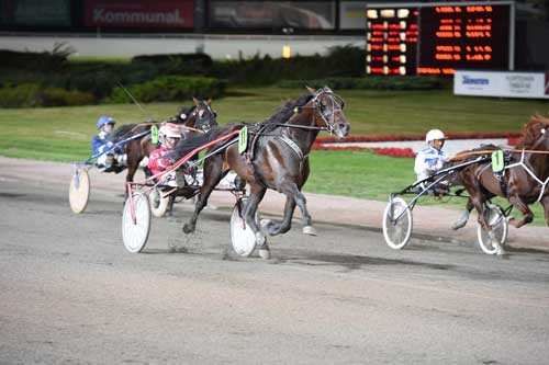 Carabinieri med Peter Untersteiner fik let spil da Cash Gamble galoperede. Kanal 75