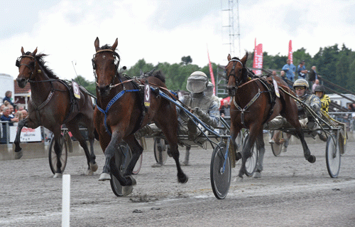 Cesar Sisu med Bjรฆrn Goop vandt sikkert V75-finalen i Klasse II i flotte 1.12.6a/2140 m - prรฆmie 200.000 SEK. Foto kanal 75
