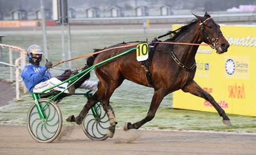 Sejr nummer 6.000 er i hus for Bjærn Goop med Celebreightr. Foto Kanal 75