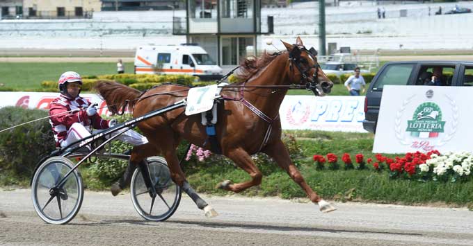 Chapeeau med Christophe Martens vandt let 1. afdeling. Foto Gerard Forni