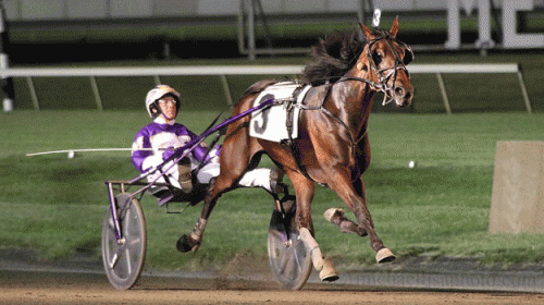 Trond Smedshammer trænet Chezatter, der vandt sikkert for David Miller