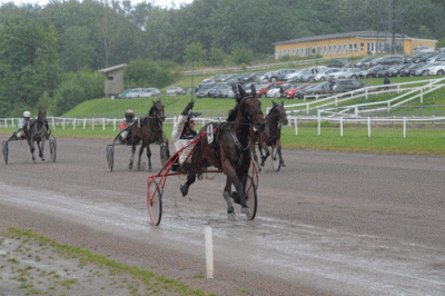 Come on Hugo ved sin første sejr - Foto Ole Hindby