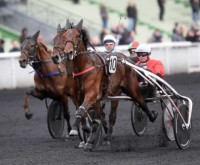 Cristal Money, der er lillebroder til Become Money, har bl.a. viundet Gruppe 1-løb Prix Paul Viel. Foto Gerard Forni