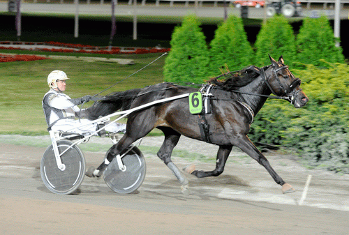 Darling Hornline med Per Nordström vandt i 1.12.2 og er klar til Derbystoet. Foto Kanal 75