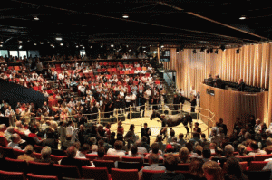 Auktionslokalet i Deauville