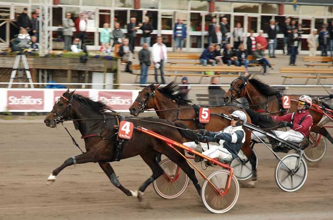 Deepish vinder for Timo Ârling 1.11.8 Foto HalmstadTravet