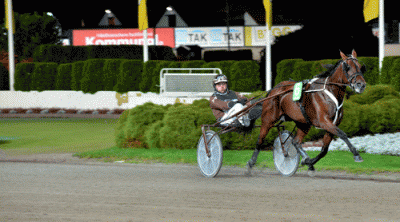 Delicious U S - Foto: Kanal75.se