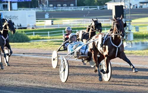 Delicious med Örjan Kihlström vinder i 1.10.0 - ny verdensrekord for hopper over 2140 auto . Kanal 75