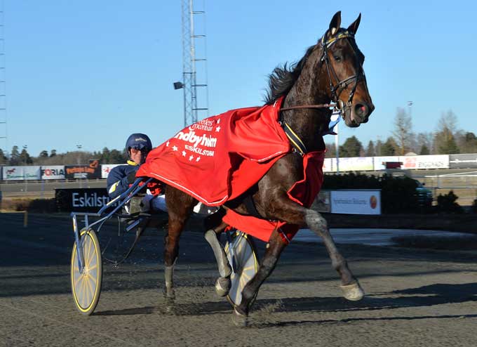 Digital Ink ker nu klar til nye æresrunder. . Kanal 75.