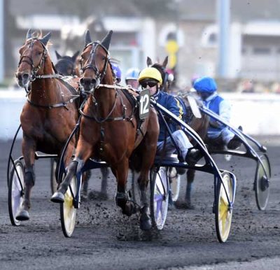 Django Riff er fransk travsportshidtil bedste 3-รฅrige hingst. Arkivfoto Gerard Forni