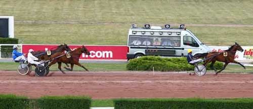 Django Riff vinder sikkert den franske 2-årspremiere. Foto Geny.com