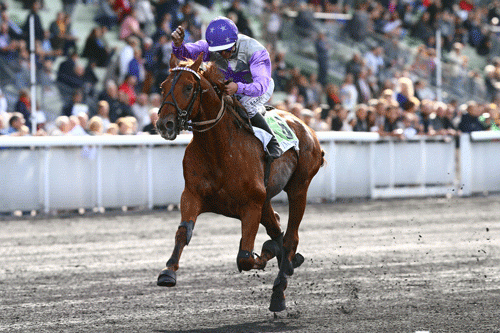 Dollar Macker vandt sikkert sin monte-debut. Foto Gerard Forni