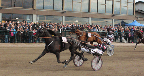 El Mago Pellini med Adrian Kolgjini kommer til Lunden med friske laurbær fra lørdagens storløb i Finland,. Foto Kanal 75
