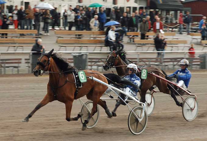 Empress Brodda med ERik Adielsson vandt i aftenens hurtugste tid 1.10.9. Foto Halmstadtravet