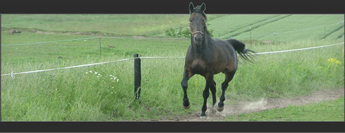 ENS Snasphot - fire afkomssejre i aftes i Aalborg