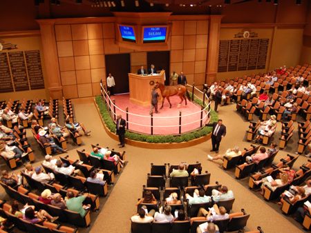 Lexington: Millioner af dollars er klar til køb af åringer