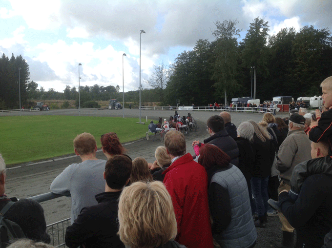 feltBornholm2014