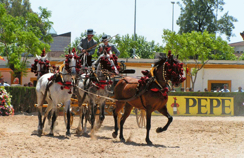 Spanierne kører gerne med heste . bare ikke i løb. Her fra den store hestefest, Feria del Caballo i Jerez, der afholdes hvert år i maj måned