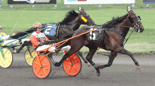 Fly On med Sndy Miller vandt hingstenes afdeling i 1.12.0.