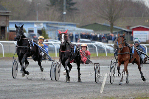 Fra fremvisningsløbet, hvor udvendige Joe Laza (Judge Joe) med Preben Kjærsgaard, Blue Velvet (Orlando Vici) med Frantz Praem og Be My Shadow (Pine Chip) med John Køhler var tæt på at køre for stærkt. De tre 3-åringer kom hje i 1.25.3 - bedre 1.26 havde kostet 500 kr/hver. Bemærk de mange tilskuere i baggrunden