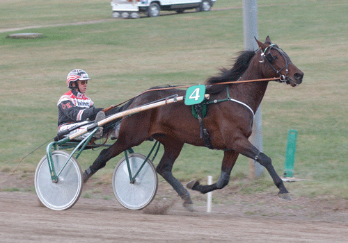 From Above med รดrjan Kihlstrรถm var Hultmans fรธrste Derbyvinder. Foto kanal 75