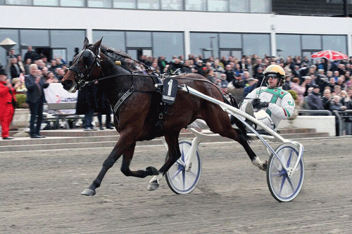 Gigant Slugger med Jeppe Juel vandt sikkert Charlottenlund Travabens 125 รฅrs Jubilรฆumslรธb. Foto Martin Timm Holmstav