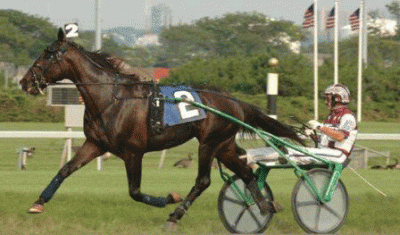 Glidemaster - forrige Triple Crown-vinder - Foto: Lisa Photo