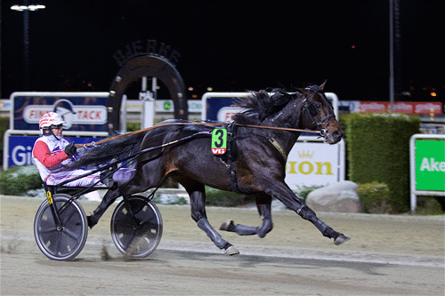 Global Republic .- her med Thor Borg. Arkiv Eirik Stenhaug