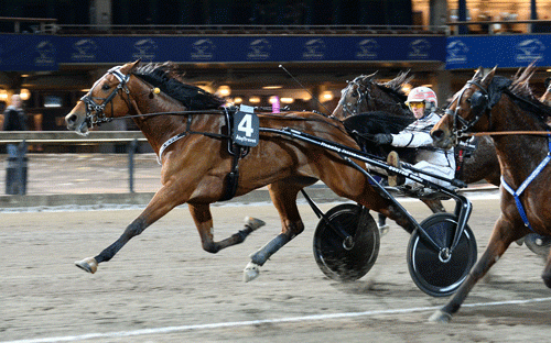 Good's of Norway med Flemming Jensen vandt deres første start sammen, Foto Kanal 75