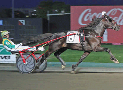 Googoo Gaagaa - med pasgænger-fader  kåret i Sverige