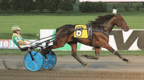 Grandma's Moni med Tim Tetrick vandt let sin debut Lisa Photo