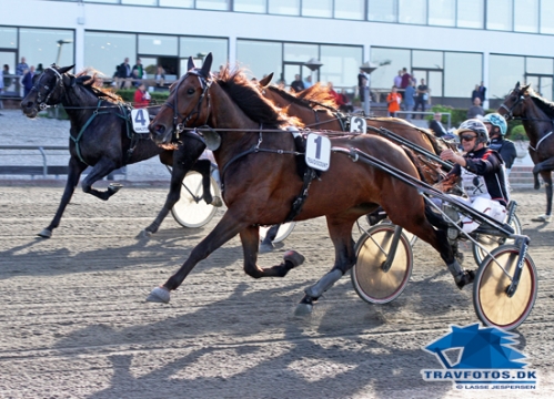 Great Arnie vinder foran udvendige The Shadow