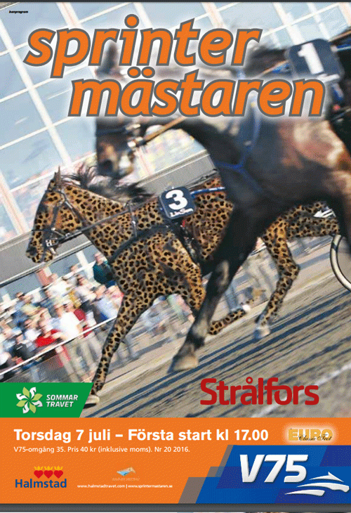 halm-stad-sprinter-2016