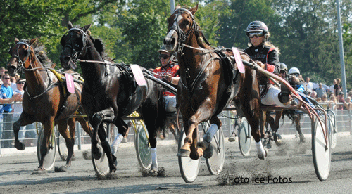 Hector Brogård . som vi husker ham