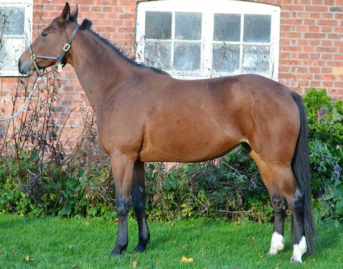 Hello Dolly - i fol ved Main Wise As