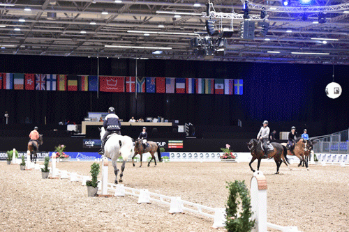 heste-i-Boxen-.-Wiegaarden