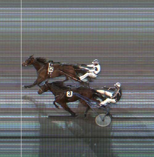 Juliastarmanamana kรฆmper sig forbi Zorn Brick.