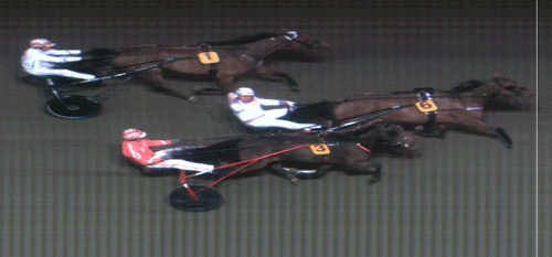 JUvels Boy udlæser millionegvinsten, da den vinder foran Protector og Goods of Nor3way