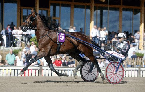 Knows Nothing med Ulf Ohlsson vandt sæsondebuten i 1.10.1. Foto Kanal 74