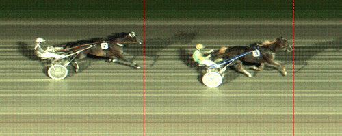 Lillebror vinder sikkert foran LambaLamba