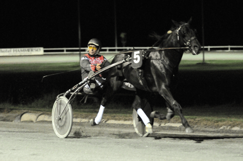 Lamott er klar til en ny sæson på Bornholm.