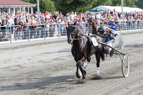 Lamott med Rene Kjær vinder sikkert Bornholmsmesterska vet 2016. Foto Toben Agger Travfotos Bornholms