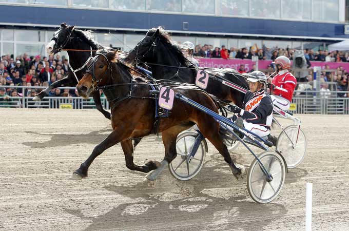 Den elegante koldblodshoppe Lannem Silje sprintede 1.18.8 for To Wollebæk. Foto Kaal 75