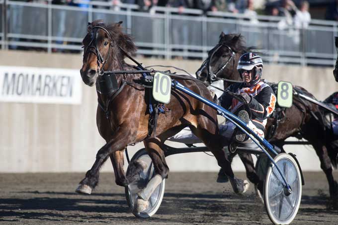 Det norske koldblodsfænomen Lannem Silje med Tor Wollebæk vandt let sin 32. sejr i 34 starter!! Kanal 74