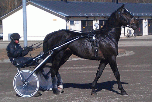 Le Lahar. Foto fra ASVT